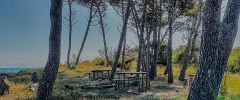 Calips agricampeggio
