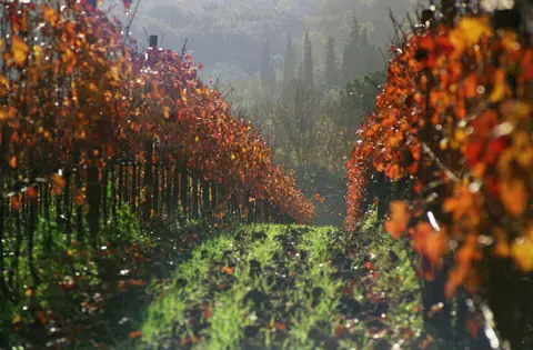 Agricampeggio Baratti
