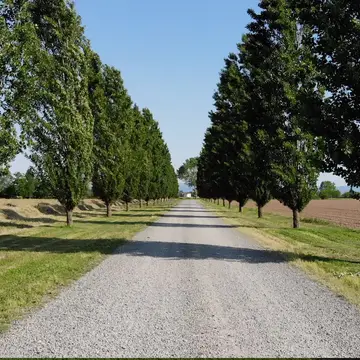 Agriturismo Merlanetta