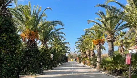 Camping Malvarrosa de Corinto