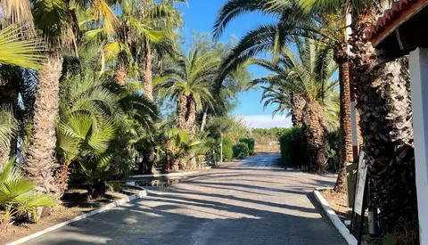 Camping Malvarrosa de Corinto