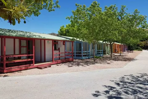 El Pino