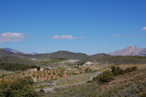 El Zorro