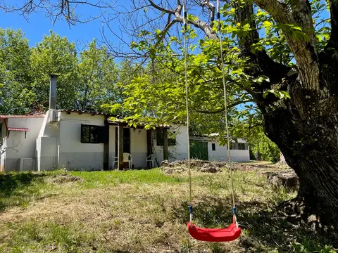 El Madroñal