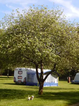 Camping Playa España