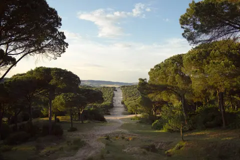 Camping Camaleón
