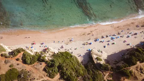 Camping Camaleón
