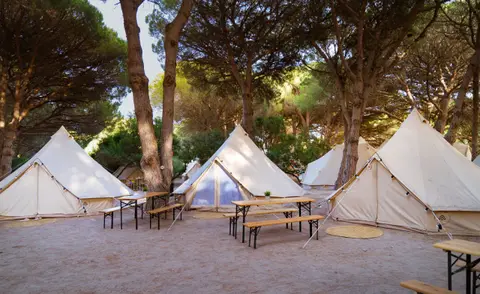 Camping Camaleón