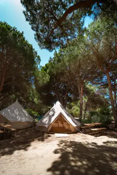 Camping Camaleón