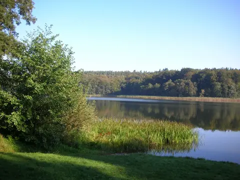 Am Rottstielfließ
