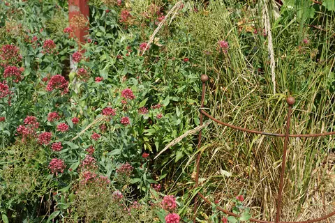 Camping im Garten