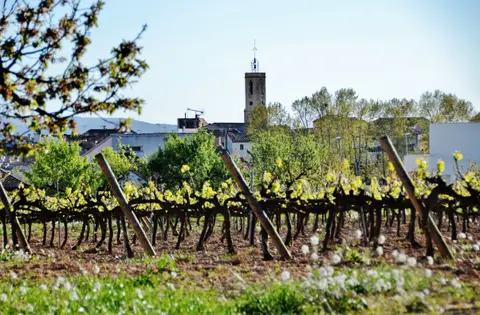 Sant Cugat Sesgarrigues
