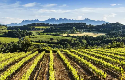 RV Penedès · Sant Martí Sarroca