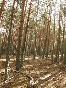 Área de autocaravanas albarracín