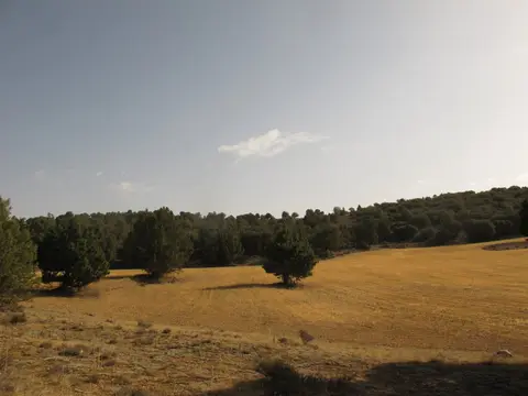 Área de autocaravanas albarracín