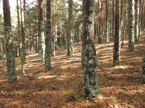 Área de autocaravanas albarracín