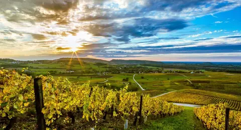 Aire Domaine Les Monts Martin