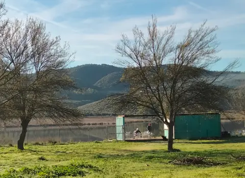 Camping Puebla