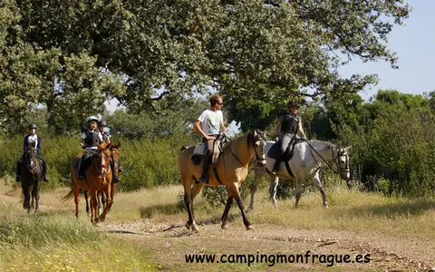 Camping Monfragüe