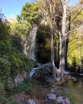 Camping Los Cloticos