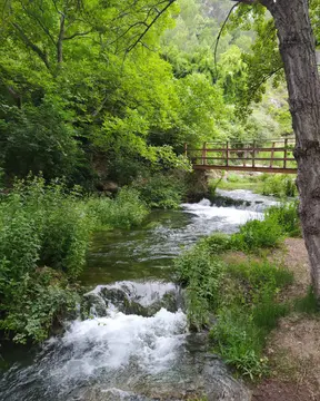 Camping Los Cloticos