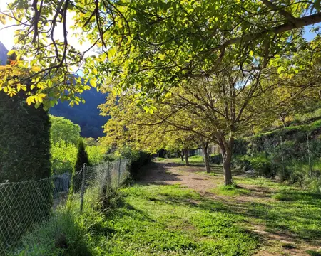 Camping Los Cloticos