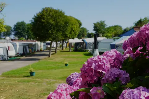 Camping El Molino