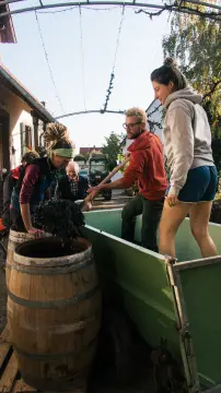 Wohnmobilstellplatz Weingut Schmitzer-Julier