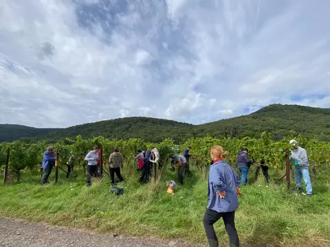 Wohnmobilstellplatz Weingut Schmitzer-Julier