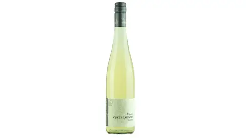 Wohnmobilstellplatz Weingut Schmitzer-Julier