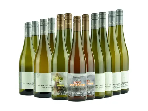 Wohnmobilstellplatz Weingut Schmitzer-Julier