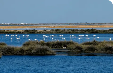 Camping Doñana Playa