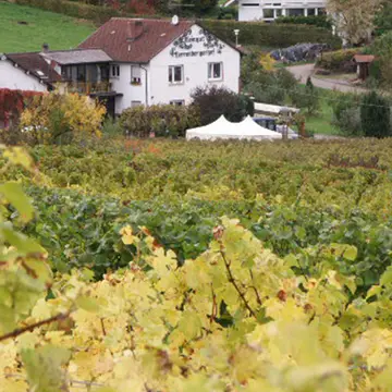 Wohnmobilstellplatz Weingut Herrenbergerhof