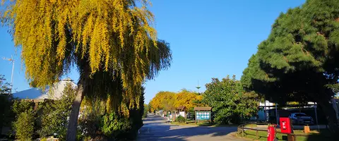 Camping Mazagón