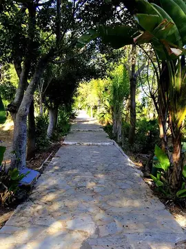 Parque Tropical