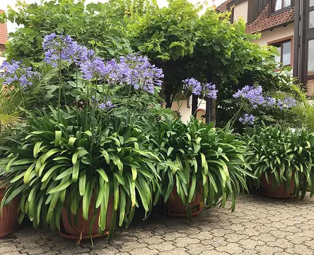 Wohnmobilstellplatz Weingut Seebach