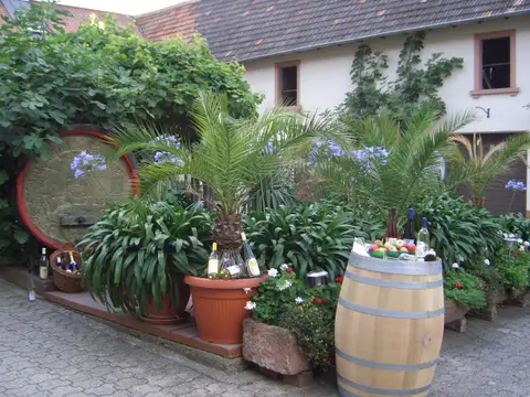 Wohnmobilstellplatz Weingut Seebach