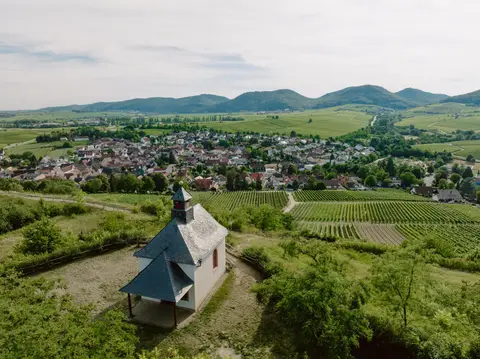 Wohnmobilstellplatz Weingut Seebach