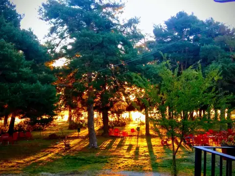 Camping Los Bonales