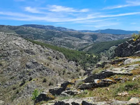 Camping Los Bonales