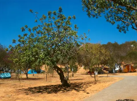 Parque Orbitur Valverde