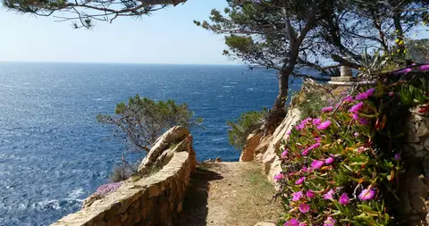 Camping La Siesta