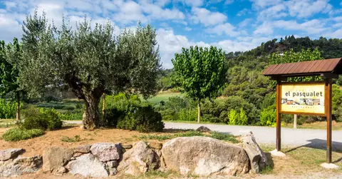 Camping Pasqualet