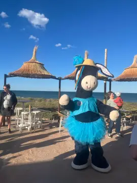 Camping Olé