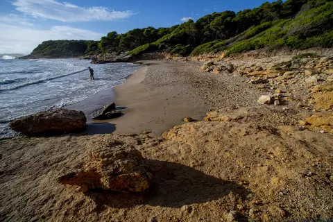 Las Palmeras