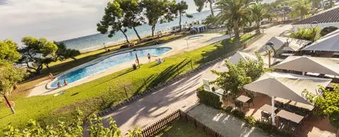 Las Palmeras