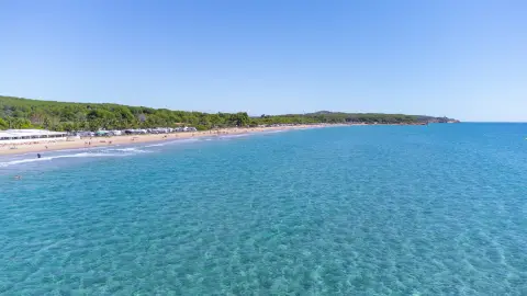 Las Palmeras