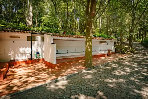 Parque de Campismo da Penha