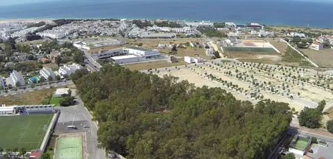 Camping Los Eukaliptos
