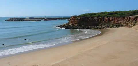 Camping Los Eukaliptos